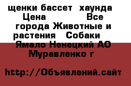 щенки бассет- хаунда › Цена ­ 20 000 - Все города Животные и растения » Собаки   . Ямало-Ненецкий АО,Муравленко г.